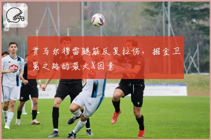 贾马尔穆雷腿筋反复拉伤，掘金卫冕之路的最大X因素