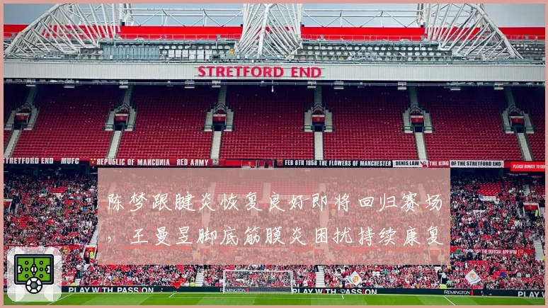 陈梦跟腱炎恢复良好即将回归赛场，王曼昱脚底筋膜炎困扰持续康复缓慢