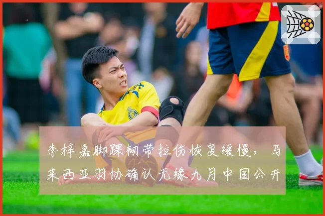 李梓嘉脚踝韧带拉伤恢复缓慢，马来西亚羽协确认无缘九月中国公开赛