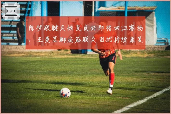 陈梦跟腱炎恢复良好即将回归赛场，王曼昱脚底筋膜炎困扰持续康复缓慢