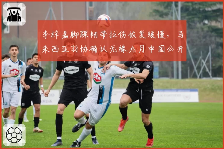 李梓嘉脚踝韧带拉伤恢复缓慢，马来西亚羽协确认无缘九月中国公开赛